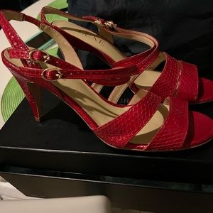 Red Snake shoes